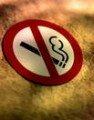 В рамках Международного Дня отказа от курения в Чебоксарских образовательных учреждениях проходит акция, призванная информировать людей о вреде табакокурения